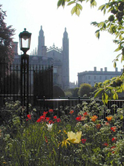 Cambridge scene